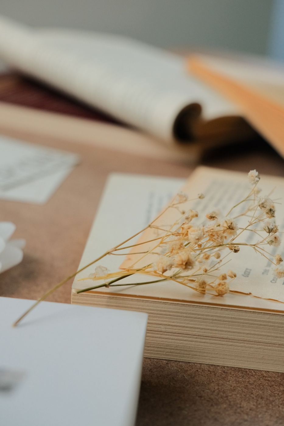 Dried flowers resting on the pages of an open book